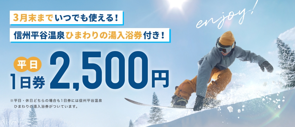 平日1日券2500円